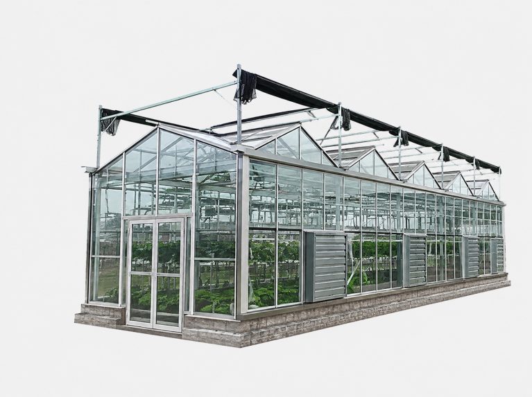 阳光板育苗温室